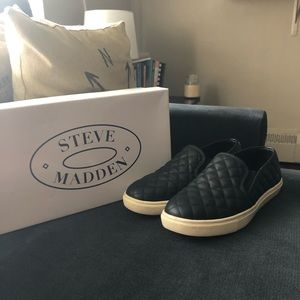 Steve Madden Ecentrcq Sneaker